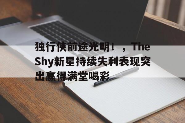 爱游戏登录入口 独行侠前途光明！，TheShy新星持续失利表现突出赢得满堂喝彩